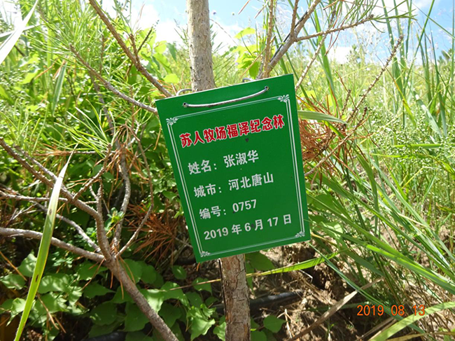 图片15.png